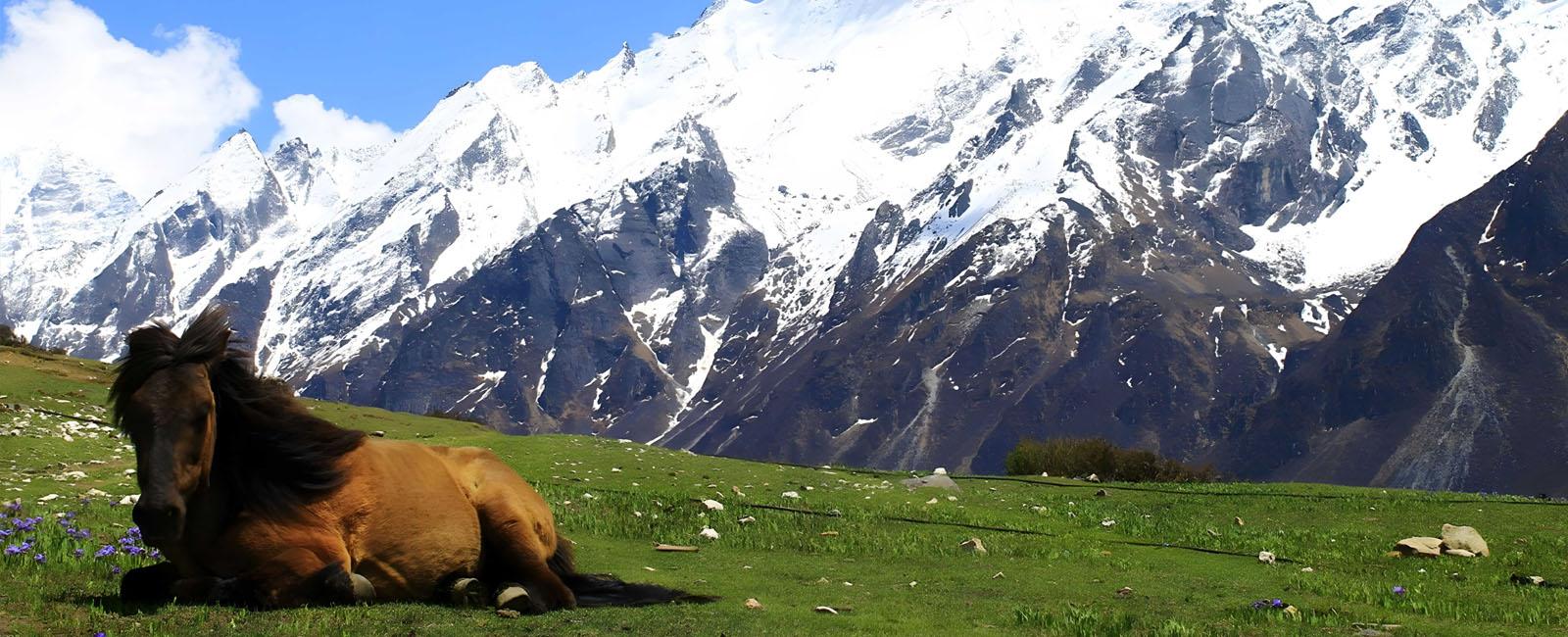 Langtang Trek